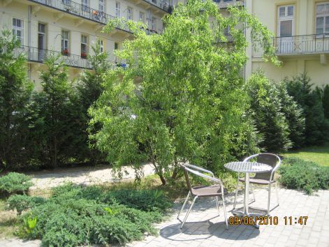 img_4905.jpg img_4905.jpg